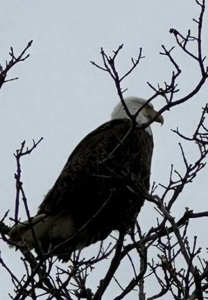 IMG_8850.jpeg