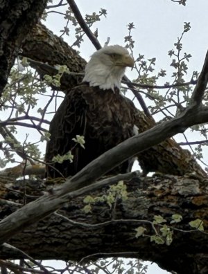 IMG_8842.jpeg