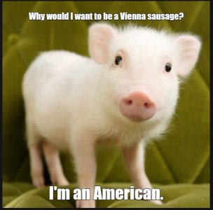 piglet.jpg
