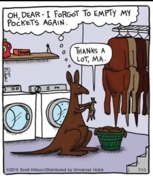 kangaroojoke.jpg