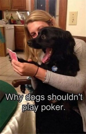 1000005129.jpg