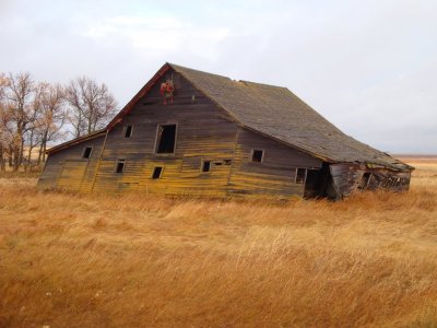ND Homestead 6.JPG