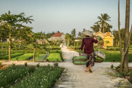 green Indonesian farmer.jpg