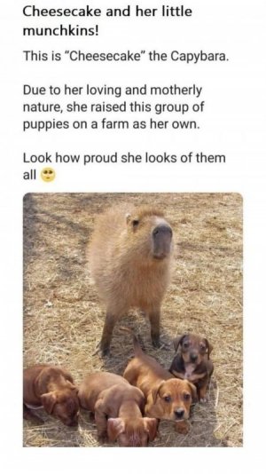 FB_IMG_1747577507355.jpg