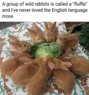 FB_IMG_1747577870787.jpg
