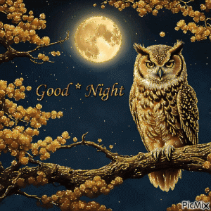 7679da5bd2190183f191c7e1f955c2e4.gif