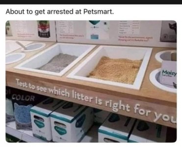 test.jpeg