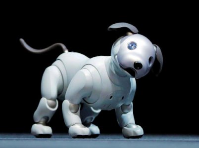 Dogmatic @.jpg