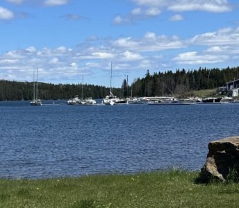 IMG_8908.jpeg
