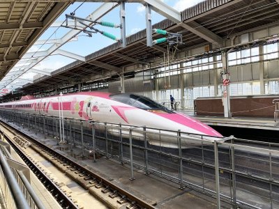 pink bullet train.jpg