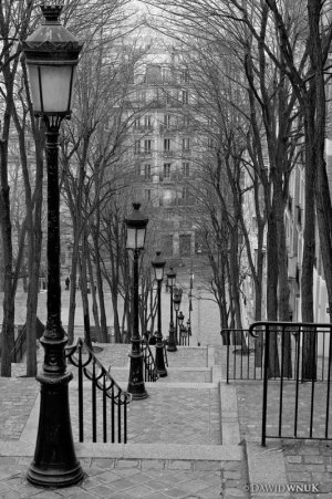 B&W stairs & lamps.jpg