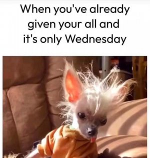 FB_IMG_1747869369362.jpg