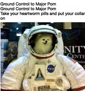 groundcontroljoke.jpg