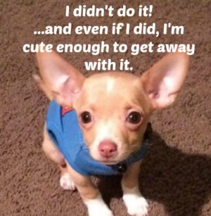 FB_IMG_1747884000455.jpg