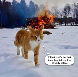 FB_IMG_1747878893228.jpg