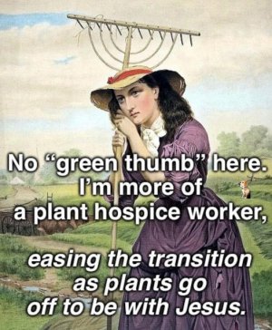 FB_IMG_1747882401025.jpg