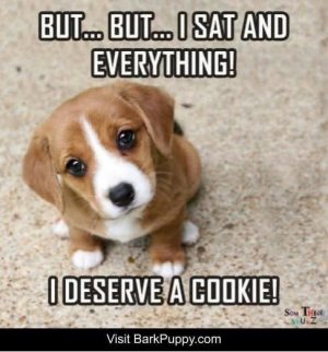 FB_IMG_1748030376636.jpg