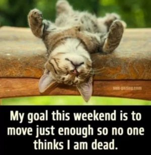 FB_IMG_1748026837064.jpg