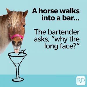 horse2.jpg