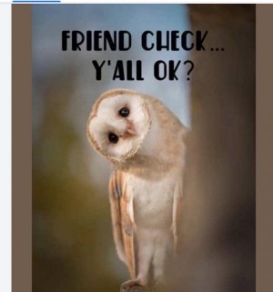 check.jpeg