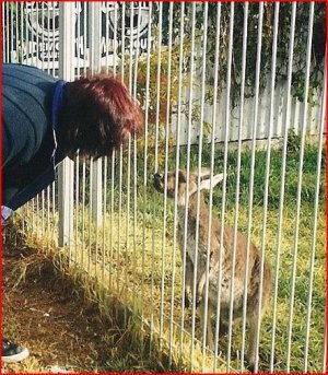 Me and Baby Joey.JPG