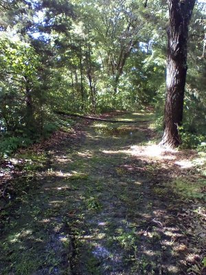 IMG_20250524_170158.jpg