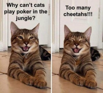 IMG_1521.jpeg