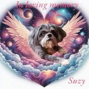 Suzylove.jpg