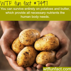 fun-facts-potatoes-provide-you-with-all-nutrients-your-body.png