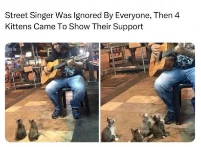 1000012138.jpg