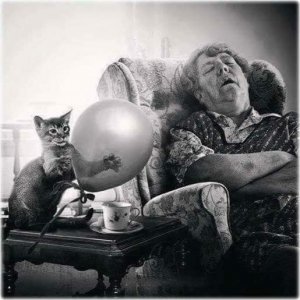 B&W cat balloon.jpg