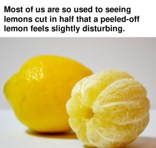 497943995_716366487420047_6865541835352148988_n.jpg