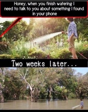 FB_IMG_1748369665392.jpg
