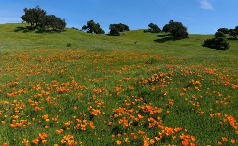 52725a.jpg 52725a.jpg