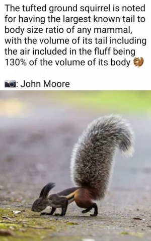 who knew.jpg