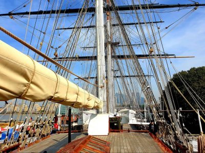 Brown icuttysark.jpg