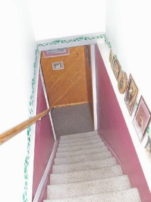 cellar stairs.jpg