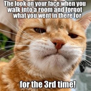 FB_IMG_1748454779243.jpg