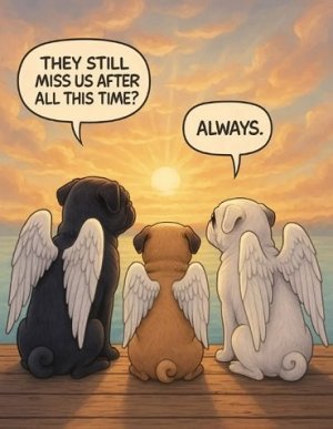 miss them.jpg