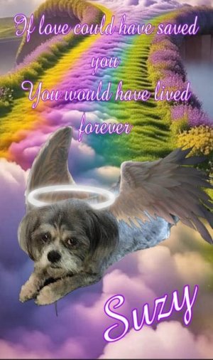 FB_IMG_1748359317954.jpg