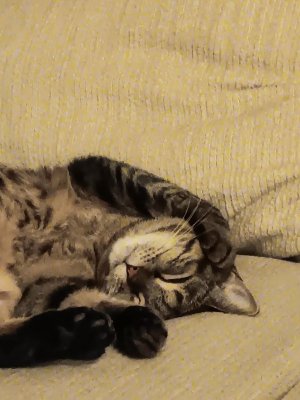 20240930_003238.jpg