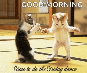 fridaydancegif.gif