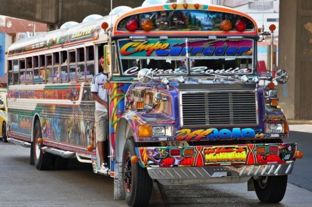 multi-bus-panama.jpg
