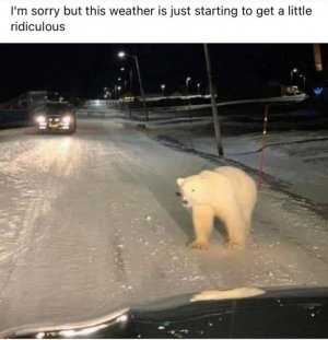 riduculous.jpg