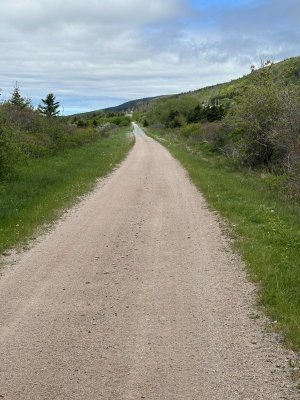 IMG_9012.jpeg