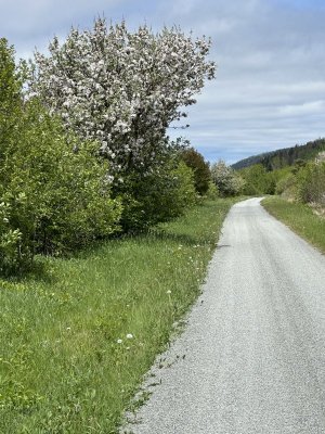IMG_9020.jpeg