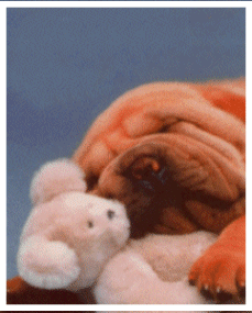 pleasant dreams.gif