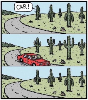 500070229_1025861346369212_7266211882214223431_n.jpg