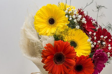 get well flowers.jpg