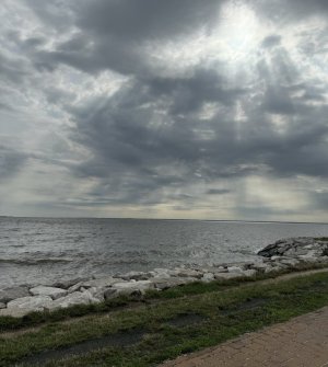IMG_0401.jpeg